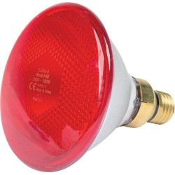 Infared šviesa, 100W, raudona, Farma 802007FA