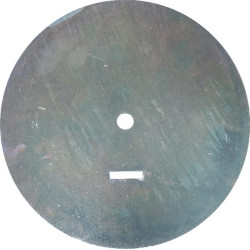 Priekinis diskas 61021026