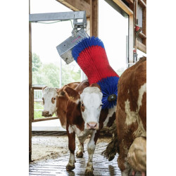 Galvijų šepetys MaxiSwing 18860