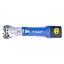Clippers, Econom CL avims GT824