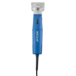 Clippers, Econom II GT474