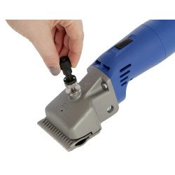 Clippers, Econom II GT474