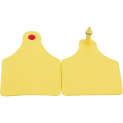 Ausinė, D tipas, 25vnt VV20220