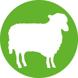 ECO-MATIC® 2 ml LL su universaliu buteliuko adapterio rinkiniu 8300026243