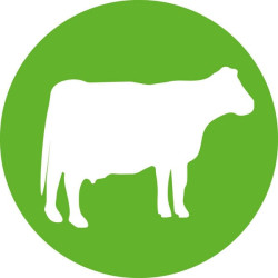 HSW-JECT® TBC 2 ml 2118000080