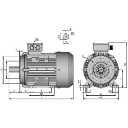 Elektros variklis 0,75 kW 015602