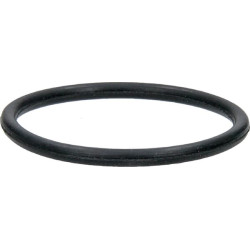 O formos žiedas 10686SL