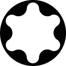 Torx® raktas 27 89S27