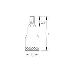 Įleidžiamas „Torx“ tipo lizdas, T40, DPITX30T40