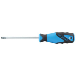 Atsuktuvas Torx T25 100mm SC2163TXBT25