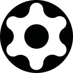 Atsuktuvas Torx T25 100mm SC2163TXBT25