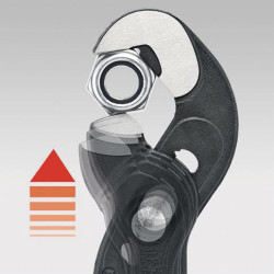Veržliarakčio replės 250 mm TA8741250
