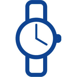 Baterijos V 10 GA VT04274