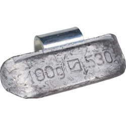 Balansuojantis svoris 100 g HO530100