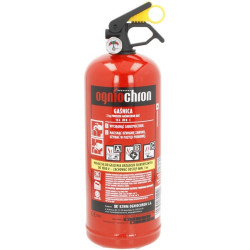 Gesintuvas 2 kg 55a 233b c milteliai 1332100012