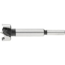 Forstnerio grąžtas medienai 25x90 mm, Bohrcraft FNB250