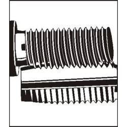 V formos ritė M5x5 540502620