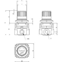 Slėgio reguliatorius M004R20