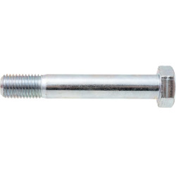 Šešiakampis varžtas M16x100-10.9 VZ 523736EN
