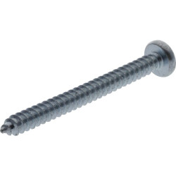 Savisriegis torx varžtas 4,8x50 mm 7981C4850TX100