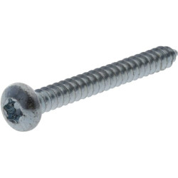Savisriegis varžtas torx 5,5x38 mm 7981C5538TX100