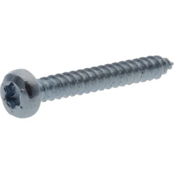 Savisriegis sraigtas torx 2,9x19 mm 7981C2919TX100