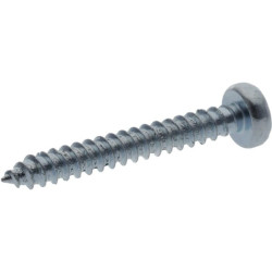 Savisriegis sraigtas torx 2,9x19 mm 7981C2919TX100