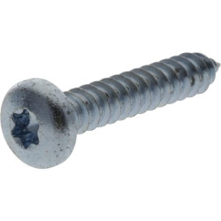 Savisriegis varžtas torx 4,8x25 mm 7981C4825TX100