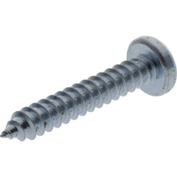 Savisriegis varžtas torx 4,8x25 mm 7981C4825TX100