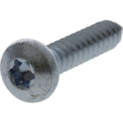 Savisriegis varžtas torx 6,3x38 mm 7981C6338TX100