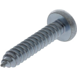 Savisriegis varžtas torx 6,3x38 mm 7981C6338TX100