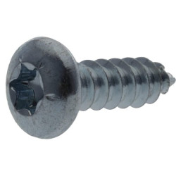 Savisriegis torx varžtas 4,2x19 mm 7981C4219TX100