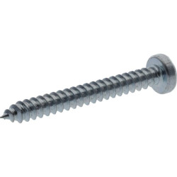 Savisriegis sraigtas torx 3,9x38 mm 7981C3938TX100