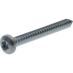 Savisriegis varžtas torx 5,5x45 mm 7981C5545TX100