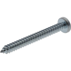 Savisriegis varžtas torx 5,5x45 mm 7981C5545TX100