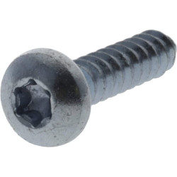 Savisriegis varžtas torx 5,5x25 mm 7981C5525TX100