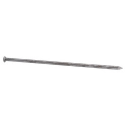 Paprastosios vinys, 12" 1545130090