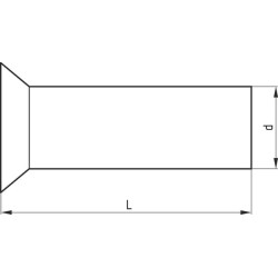 Plieninė kniedė su įleidžiama galvute, 5,0 x 26 mm 3750502612