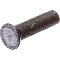 Kniedės po 0,5 kg, 5x20, 520V