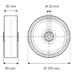 Ratas 100 mm FTP1000502060