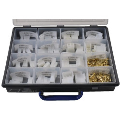 Asortimentas AMP ASSAMPFASTIN