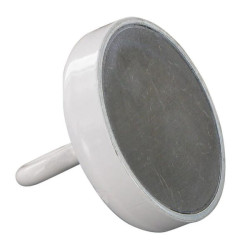 Magnetas, 36 mm baltas 410700250