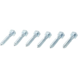 Medsraigčiai M10 x 60 mm (6) KR5711060P06B