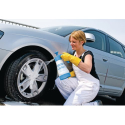Putų meistras FM10 (1 l) 6550000GL