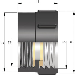 IBC adapteris FF S60x6 - 2" 0102444051566