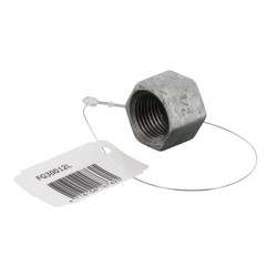 Šešiakampis kaištis, cinkuotas 1/2" FG30012L