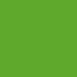 Fendt Nature green 1 L 649508KR