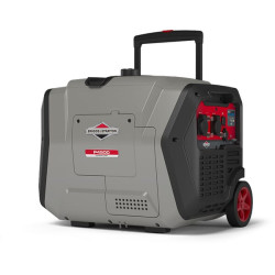 Generatorius P4500 030806