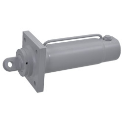 Cilindro greito atleidimo CW5 D4070130CW5