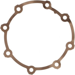 Guolio korpuso tarpinė 1J09504360